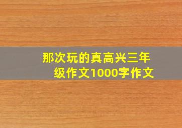 那次玩的真高兴三年级作文1000字作文