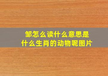 邹怎么读什么意思是什么生肖的动物呢图片