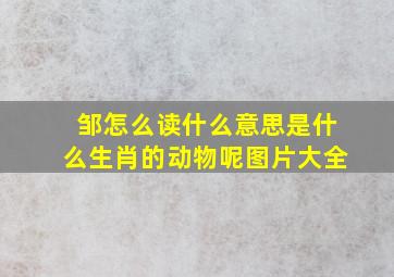 邹怎么读什么意思是什么生肖的动物呢图片大全