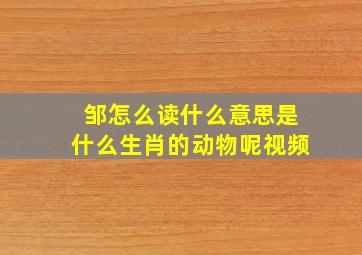 邹怎么读什么意思是什么生肖的动物呢视频