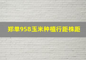 郑单958玉米种植行距株距