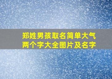 郑姓男孩取名简单大气两个字大全图片及名字