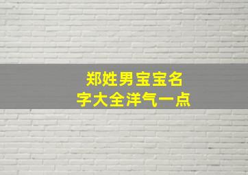 郑姓男宝宝名字大全洋气一点