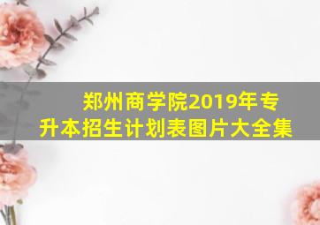 郑州商学院2019年专升本招生计划表图片大全集