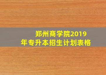 郑州商学院2019年专升本招生计划表格