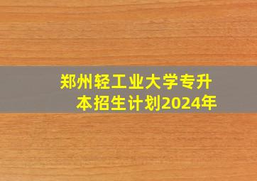 郑州轻工业大学专升本招生计划2024年