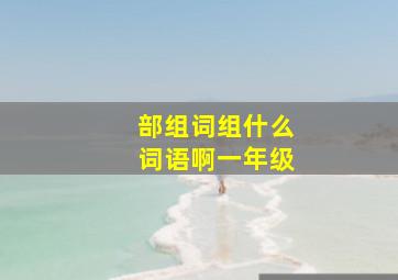 部组词组什么词语啊一年级