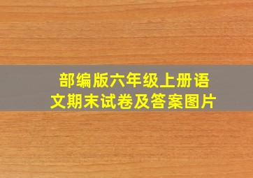 部编版六年级上册语文期末试卷及答案图片