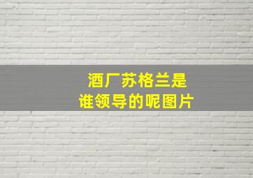 酒厂苏格兰是谁领导的呢图片