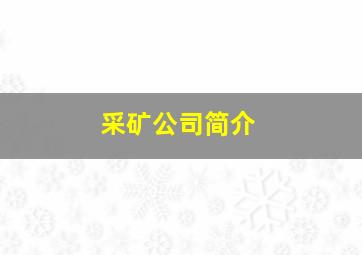 采矿公司简介