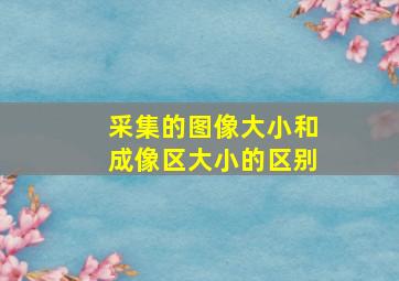 采集的图像大小和成像区大小的区别