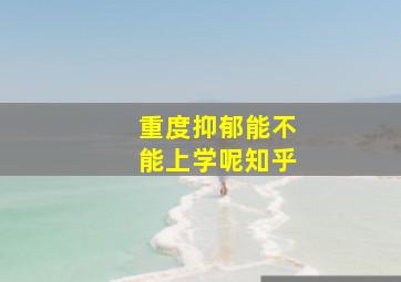 重度抑郁能不能上学呢知乎