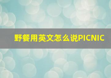 野餐用英文怎么说PICNIC