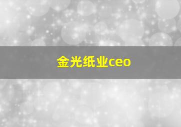 金光纸业ceo