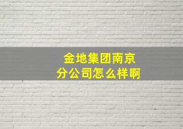 金地集团南京分公司怎么样啊