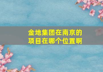 金地集团在南京的项目在哪个位置啊