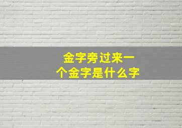 金字旁过来一个金字是什么字