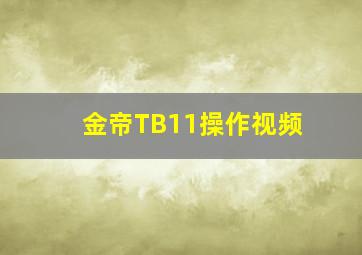 金帝TB11操作视频