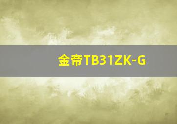 金帝TB31ZK-G