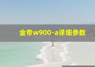 金帝w900-a详细参数