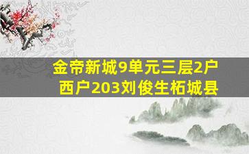 金帝新城9单元三层2户西户203刘俊生柘城县