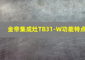 金帝集成灶TB31-W功能特点