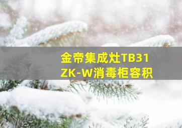 金帝集成灶TB31ZK-W消毒柜容积