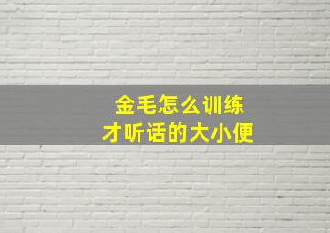 金毛怎么训练才听话的大小便