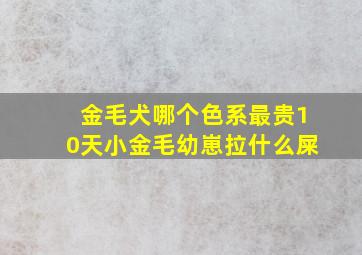 金毛犬哪个色系最贵10天小金毛幼崽拉什么屎