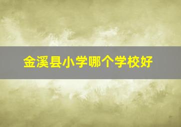 金溪县小学哪个学校好