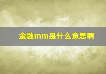 金融mm是什么意思啊