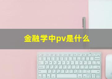 金融学中pv是什么