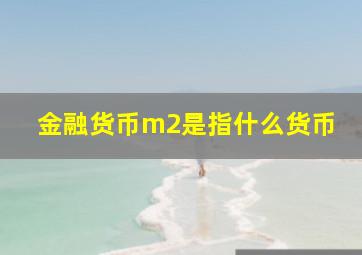 金融货币m2是指什么货币