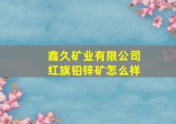 鑫久矿业有限公司红旗铅锌矿怎么样