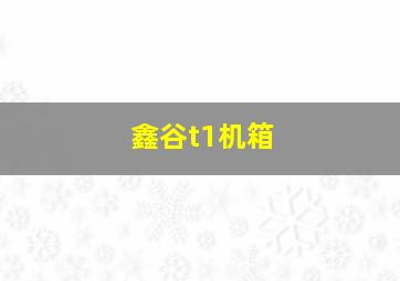 鑫谷t1机箱