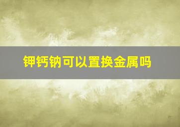 钾钙钠可以置换金属吗