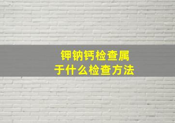 钾钠钙检查属于什么检查方法