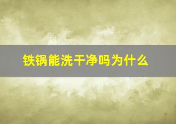 铁锅能洗干净吗为什么