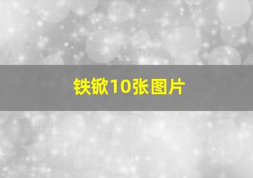 铁锨10张图片