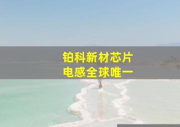 铂科新材芯片电感全球唯一