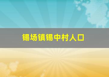 锡场镇锡中村人口