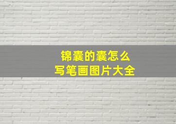 锦囊的囊怎么写笔画图片大全