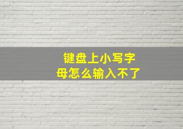 键盘上小写字母怎么输入不了