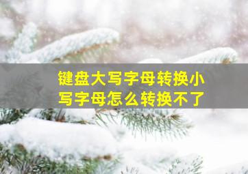 键盘大写字母转换小写字母怎么转换不了