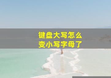 键盘大写怎么变小写字母了