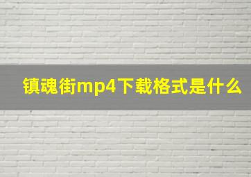 镇魂街mp4下载格式是什么