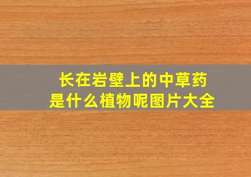 长在岩壁上的中草药是什么植物呢图片大全