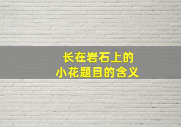 长在岩石上的小花题目的含义