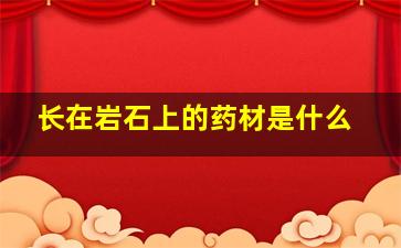 长在岩石上的药材是什么