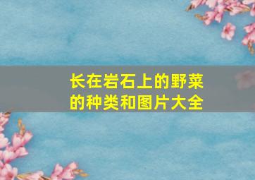 长在岩石上的野菜的种类和图片大全